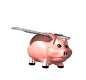 flyingpig53.gif (9284 bytes)